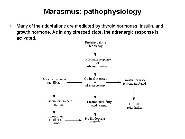 Marasmus: pathophysiology • Many of the adaptations are mediated by thyroid hormones, insulin, and