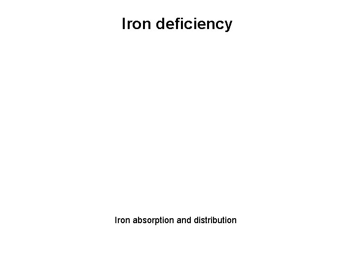 Iron deficiency Iron absorption and distribution 