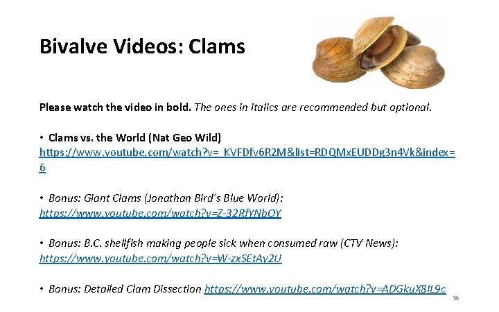 Bivalve Videos: Clams Please watch the video in bold. The ones in italics are