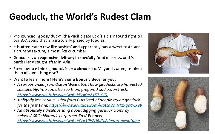 Geoduck, the World’s Rudest Clam • Pronounced “gooey duck”, the Pacific geoduck is a