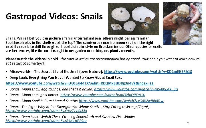 Gastropod Videos: Snails. While I bet you can picture a familiar terrestrial one, others