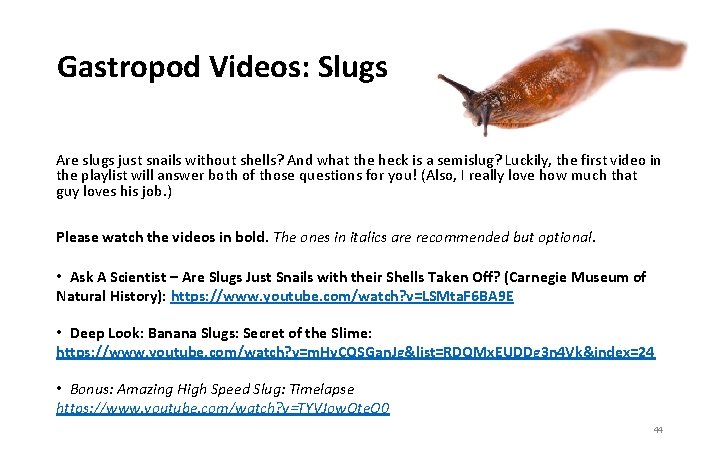Gastropod Videos: Slugs Are slugs just snails without shells? And what the heck is