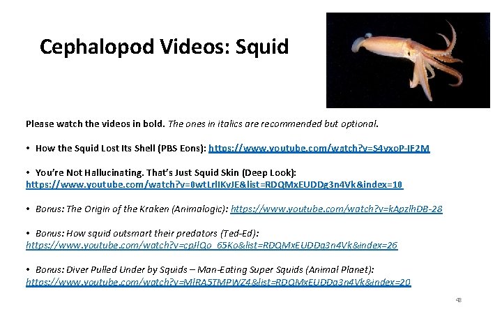 Cephalopod Videos: Squid Please watch the videos in bold. The ones in italics are