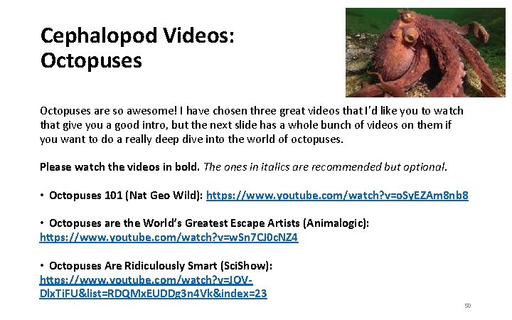 Cephalopod Videos: Octopuses are so awesome! I have chosen three great videos that I’d