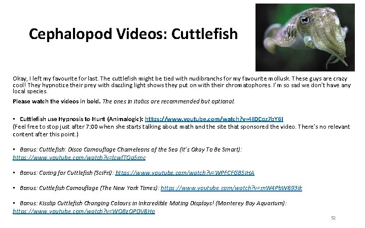 Cephalopod Videos: Cuttlefish Okay, I left my favourite for last. The cuttlefish might be