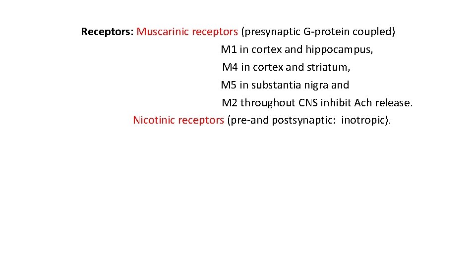 Receptors: Muscarinic receptors (presynaptic G-protein coupled) M 1 in cortex and hippocampus, M 4