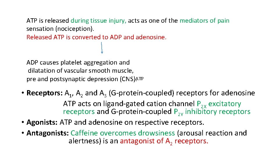 ATP is released during tissue injury, acts as one of the mediators of pain