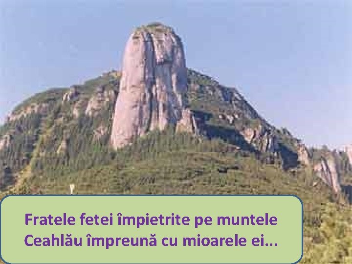 Fratele fetei împietrite pe muntele Ceahlău împreună cu mioarele ei. . . 