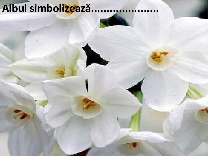 Albul simbolizează. . . . . 