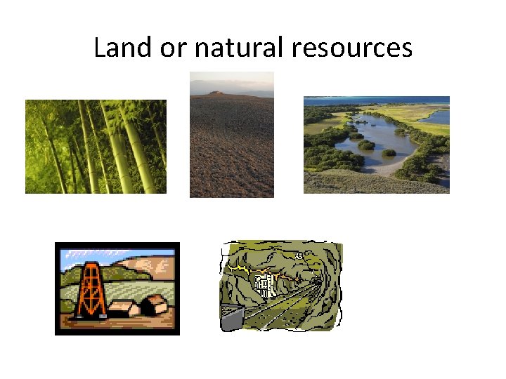 Land or natural resources 