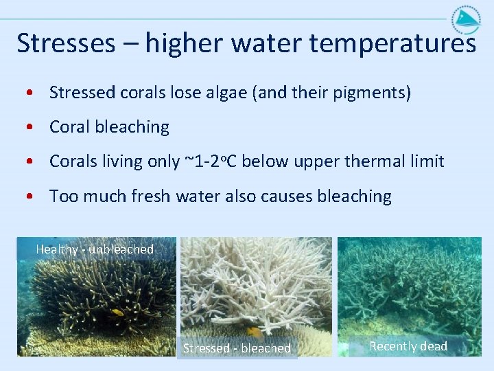 Projected changes to coral reefs and mangroves Based
