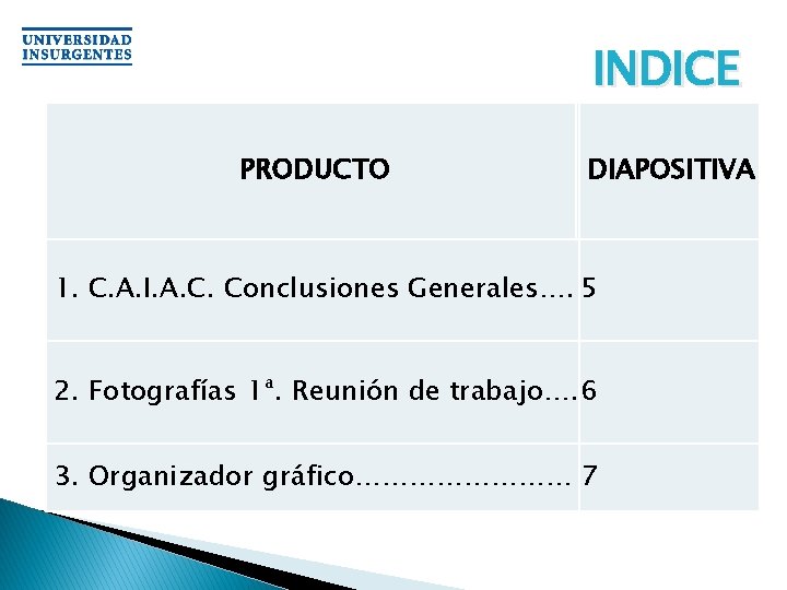 INDICE PRODUCTO DIAPOSITIVA 1. C. A. I. A. C. Conclusiones Generales…. 5 2. Fotografías