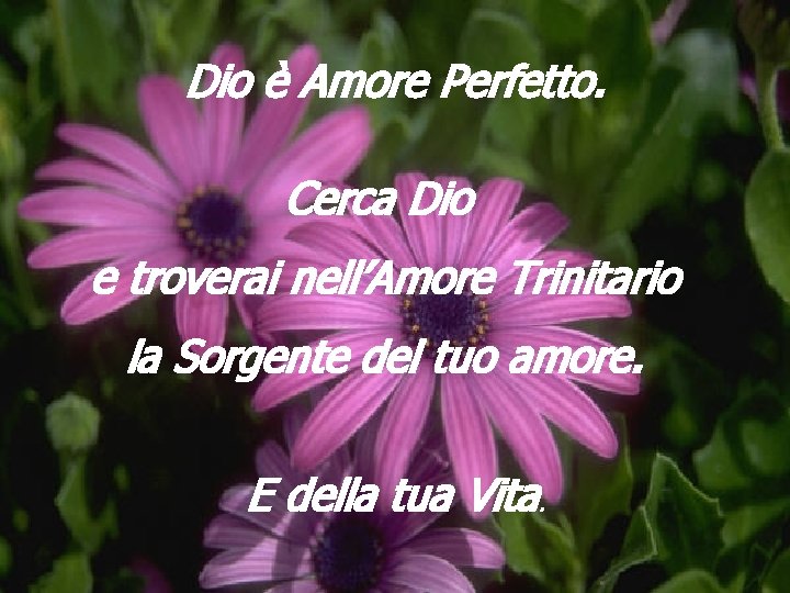 Dio è Amore Perfetto. Cerca Dio e troverai nell’Amore Trinitario la Sorgente del tuo