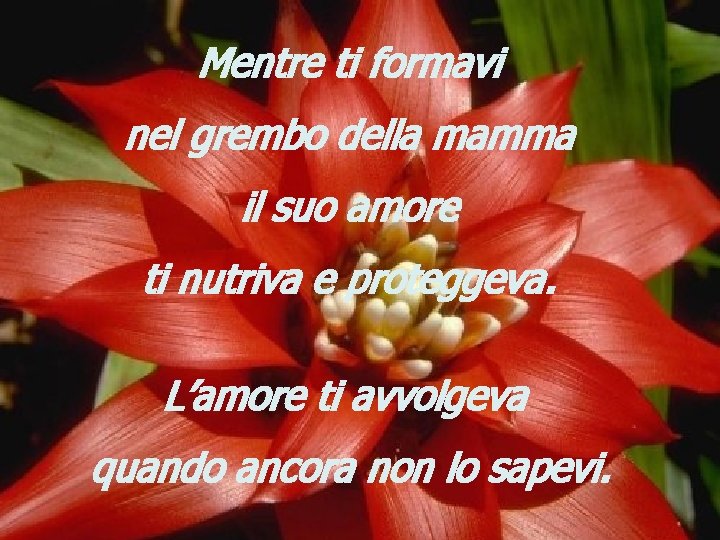 Mentre ti formavi nel grembo della mamma il suo amore ti nutriva e proteggeva.