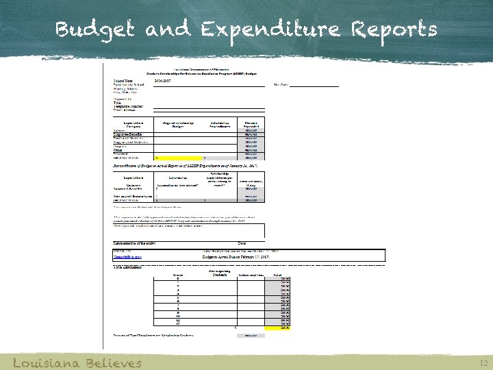 Budget and Expenditure Reports Louisiana Believes 12 