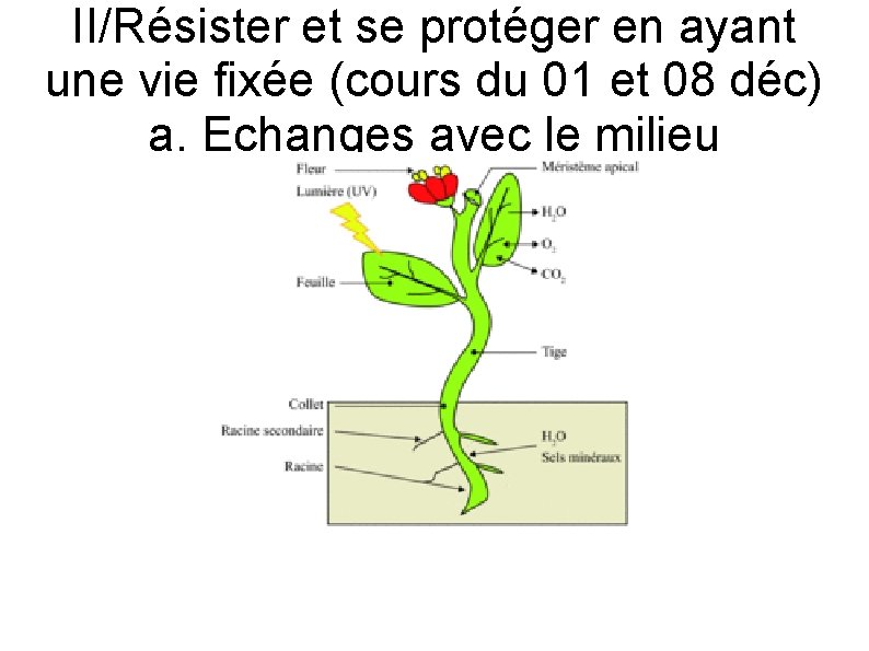 II/Résister et se protéger en ayant une vie fixée (cours du 01 et 08