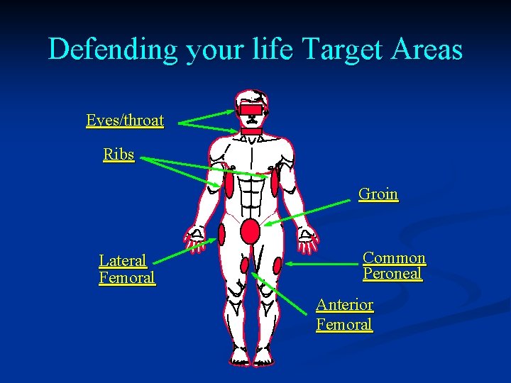 Defending your life Target Areas Eyes/throat Ribs Groin Lateral Femoral Common Peroneal Anterior Femoral