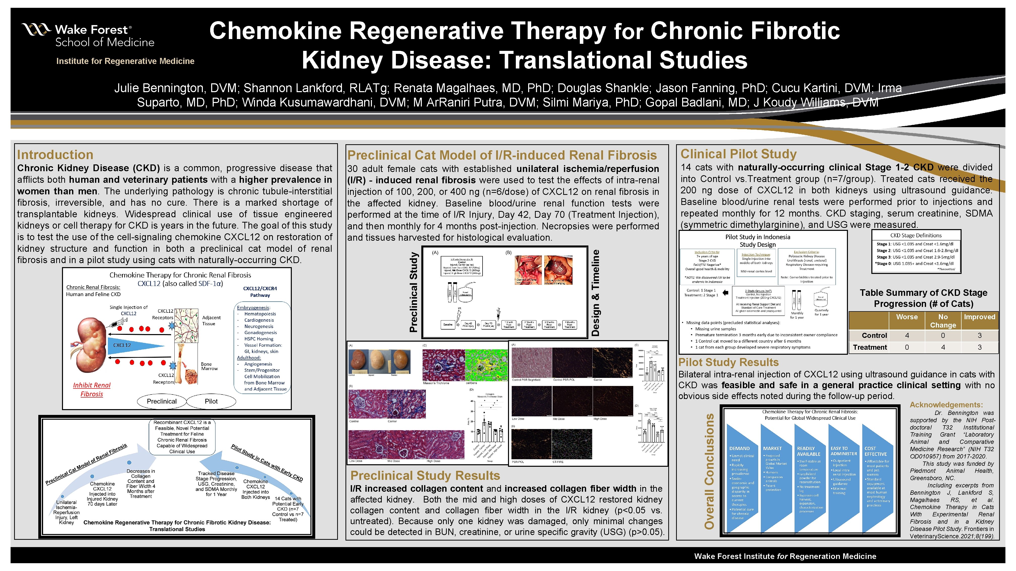 Institute for Regenerative Medicine Chemokine Regenerative Therapy for Chronic Fibrotic Kidney Disease: Translational Studies