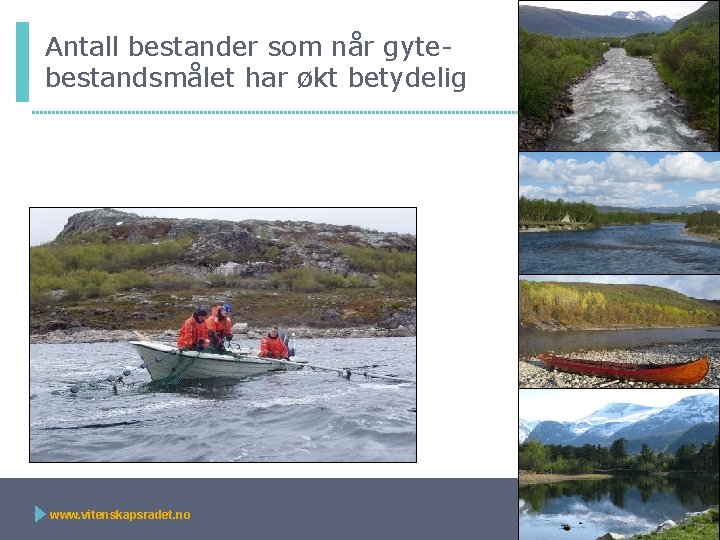 Antall bestander som når gytebestandsmålet har økt betydelig www. vitenskapsradet. no 