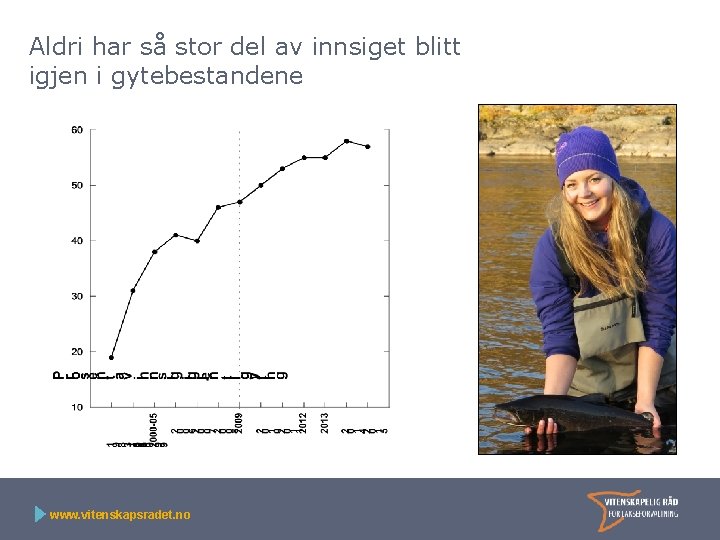 Aldri har så stor del av innsiget blitt igjen i gytebestandene www. vitenskapsradet. no