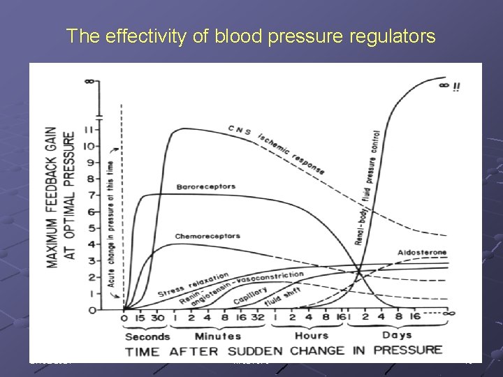 The effectivity of blood pressure regulators 27/02/2021 kvs 2107 e 15 