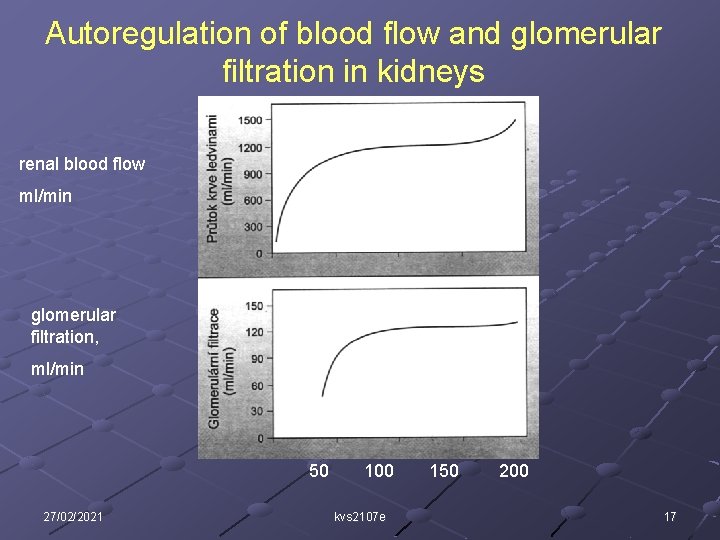 Autoregulation of blood flow and glomerular filtration in kidneys renal blood flow ml/min glomerular