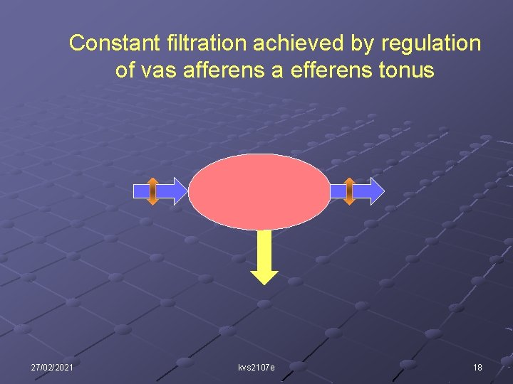 Constant filtration achieved by regulation of vas afferens a efferens tonus 27/02/2021 kvs 2107