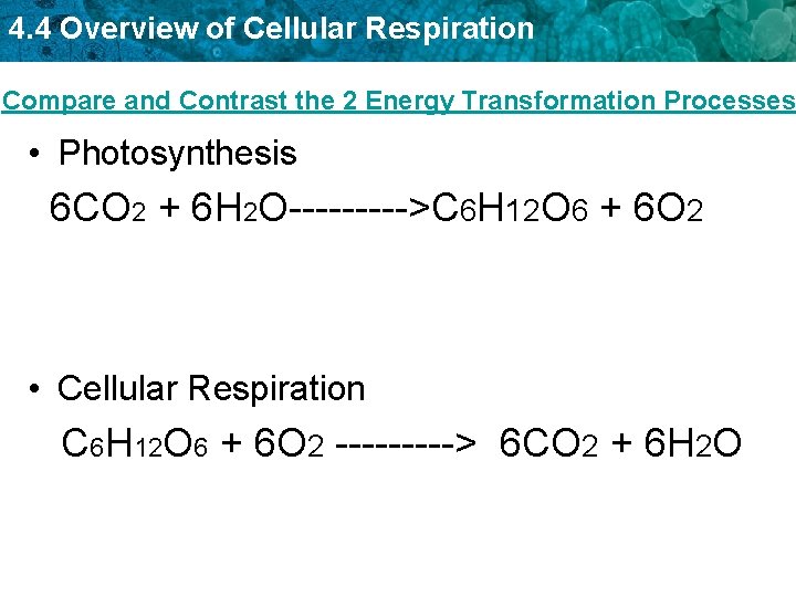 4. 4 Overview of Cellular Respiration Compare and Contrast the 2 Energy Transformation Processes 4. 4 Overview of Cellular Respiration Compare and Contrast the 2 Energy Transformation Processes