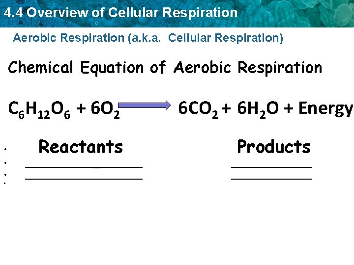 4. 4 Overview of Cellular Respiration Aerobic Respiration (a. k. a. Cellular Respiration) Chemical 4. 4 Overview of Cellular Respiration Aerobic Respiration (a. k. a. Cellular Respiration) Chemical