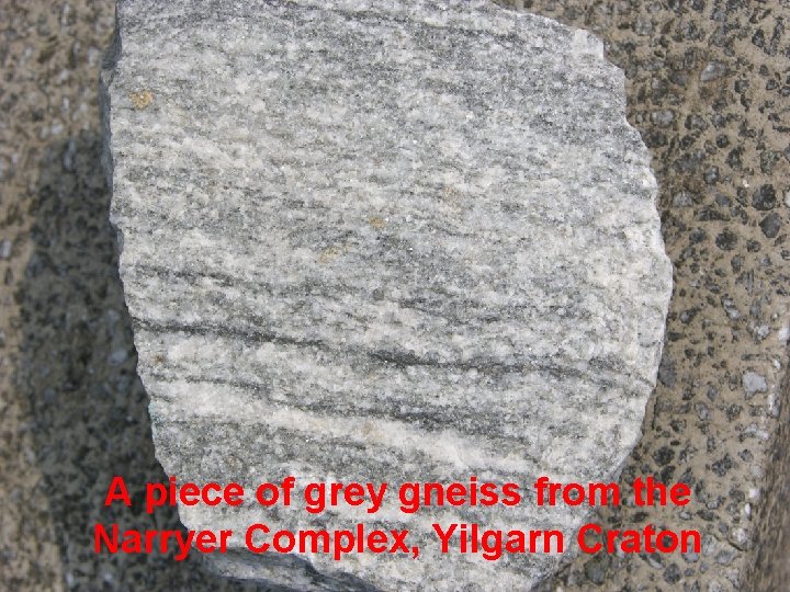 A piece of grey gneiss from the Narryer Complex, Yilgarn Craton 