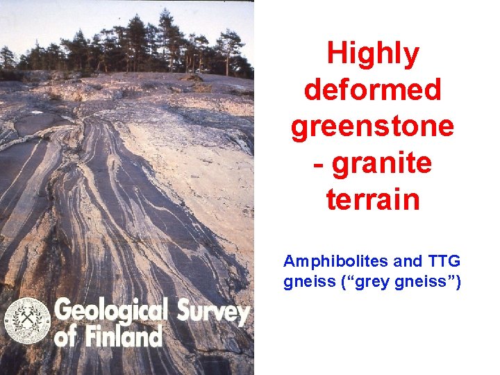 Highly deformed greenstone - granite terrain Amphibolites and TTG gneiss (“grey gneiss”) 
