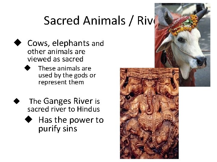 Sacred Animals / Rivers: u Cows, elephants and other animals are viewed as sacred