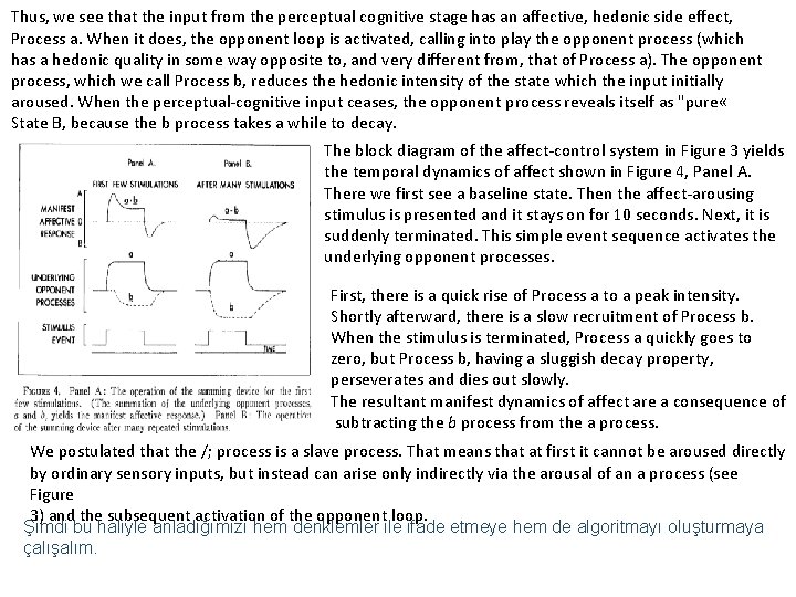 Thus, we see that the input from the perceptual cognitive stage has an affective,