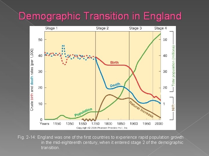 Demographic Transition in England Fig. 2 -14: England was one of the first countries