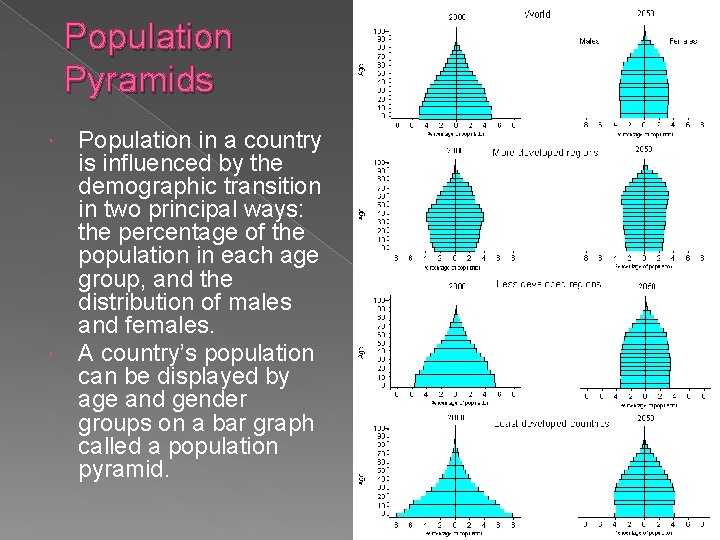 Population Pyramids Population in a country is influenced by the demographic transition in two