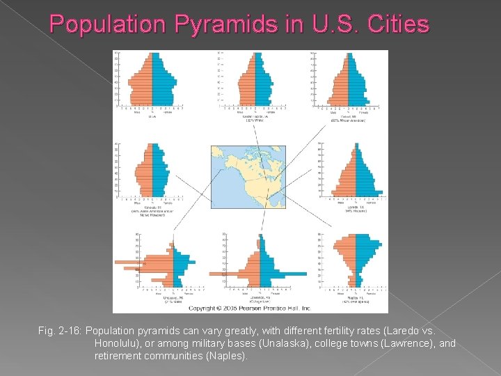 Population Pyramids in U. S. Cities Fig. 2 -16: Population pyramids can vary greatly,