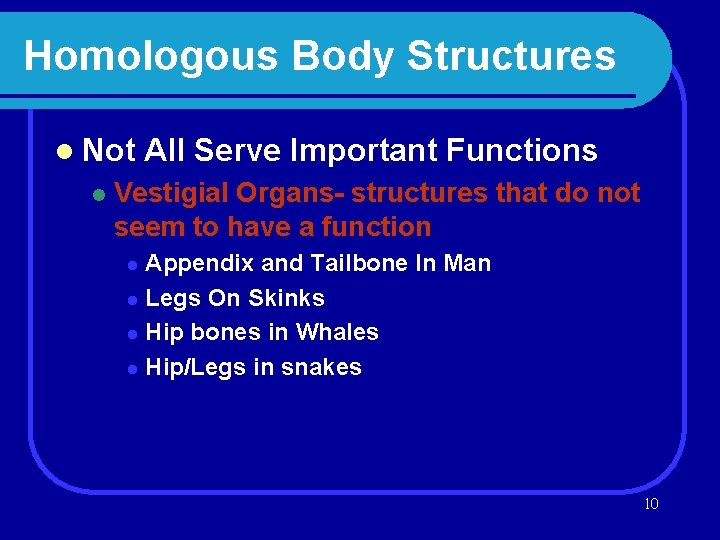 Homologous Body Structures l Not l All Serve Important Functions Vestigial Organs- structures that
