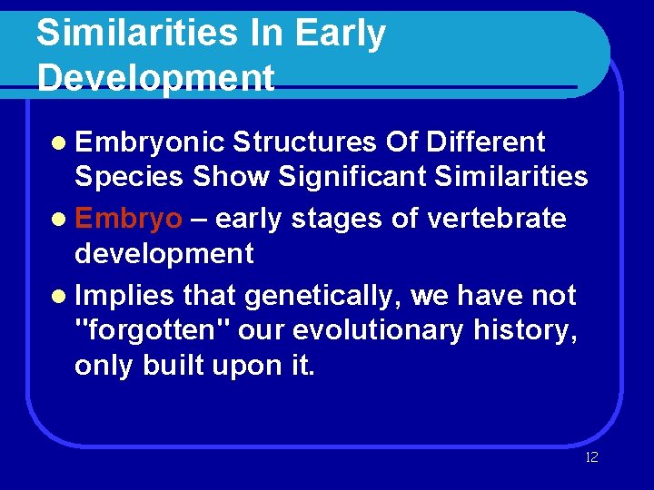Similarities In Early Development l Embryonic Structures Of Different Species Show Significant Similarities l