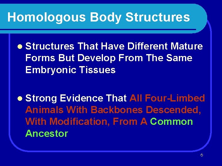 Homologous Body Structures l Structures That Have Different Mature Forms But Develop From The