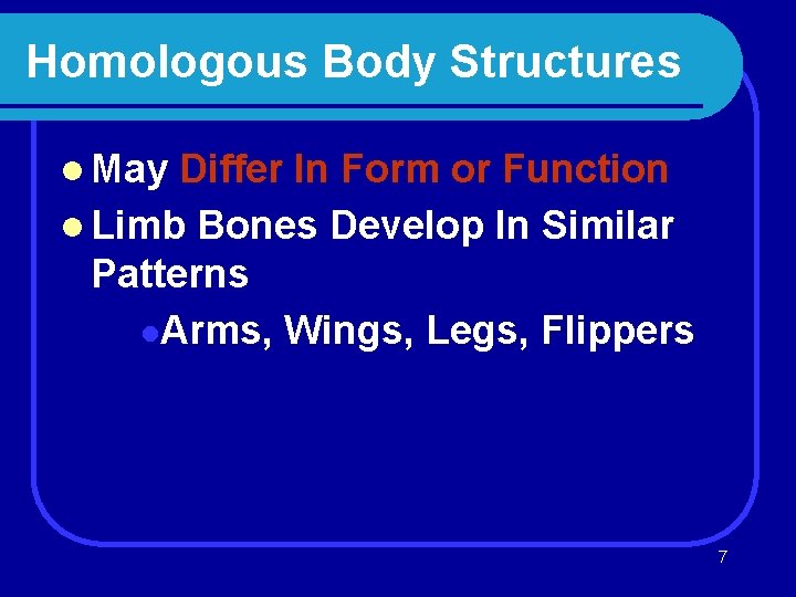 Homologous Body Structures l May Differ In Form or Function l Limb Bones Develop