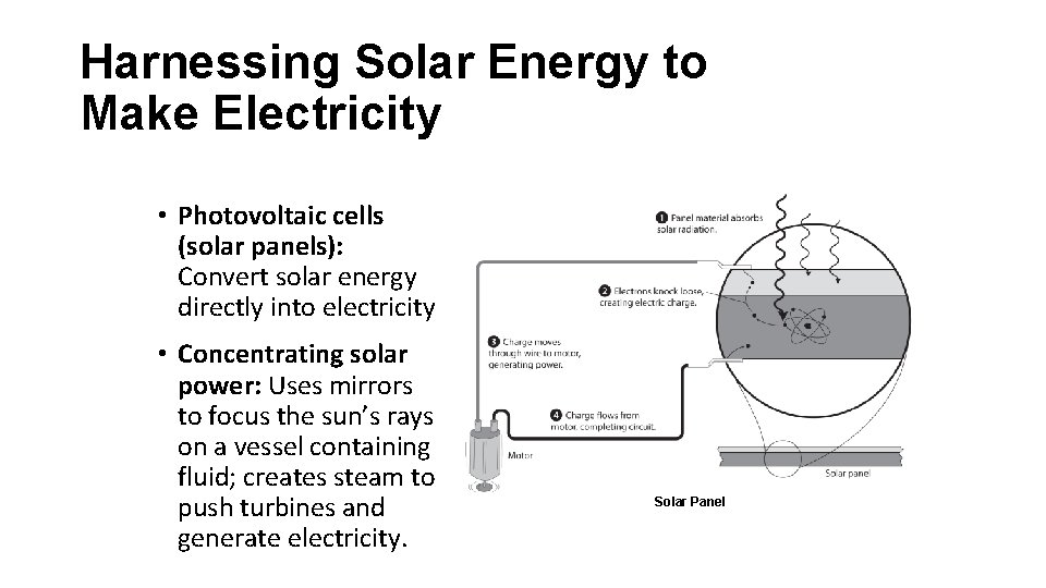 Harnessing Solar Energy to Make Electricity • Photovoltaic cells (solar panels): Convert solar energy