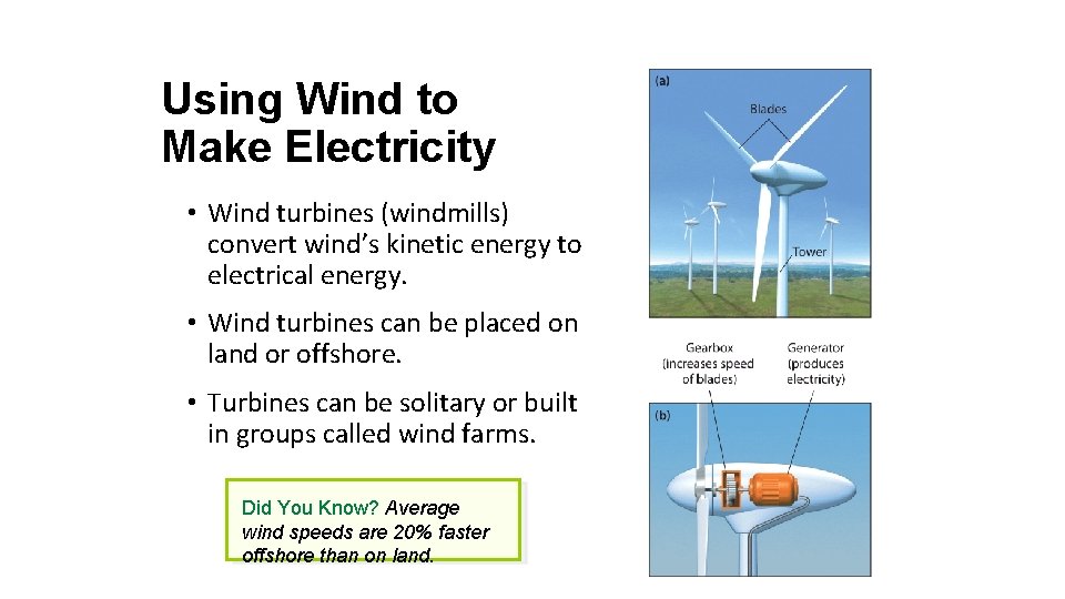 Using Wind to Make Electricity • Wind turbines (windmills) convert wind’s kinetic energy to