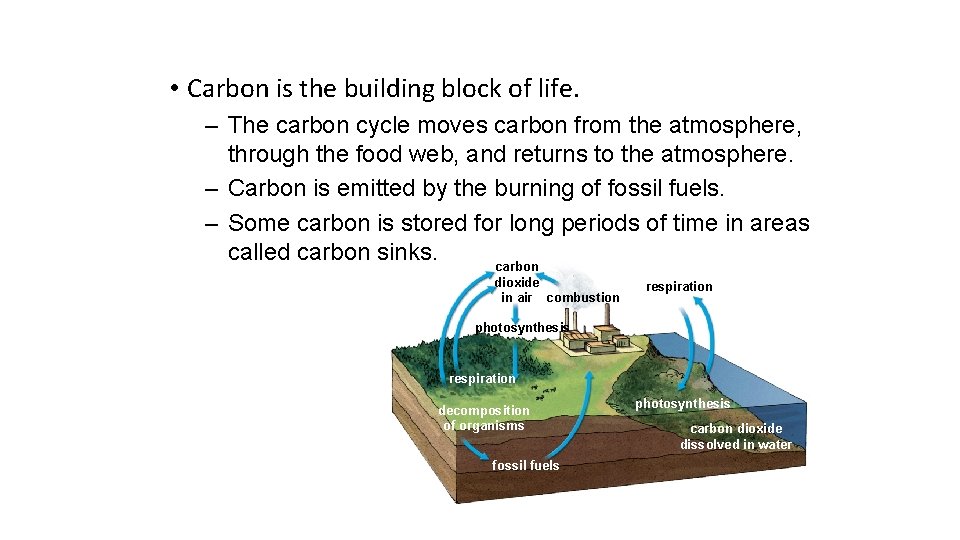  • Carbon is the building block of life. – The carbon cycle moves