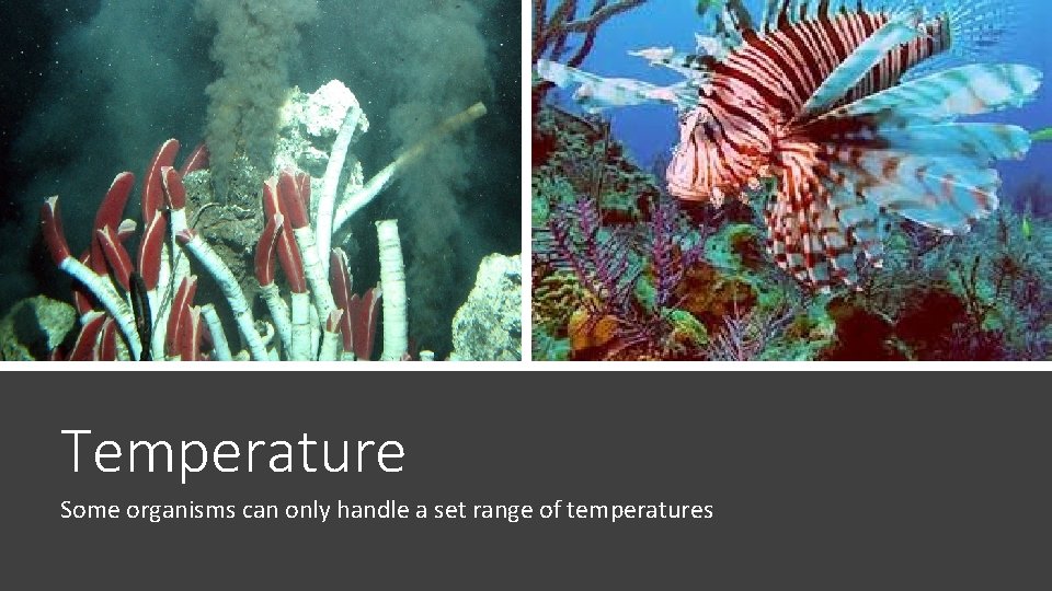 Temperature Some organisms can only handle a set range of temperatures 