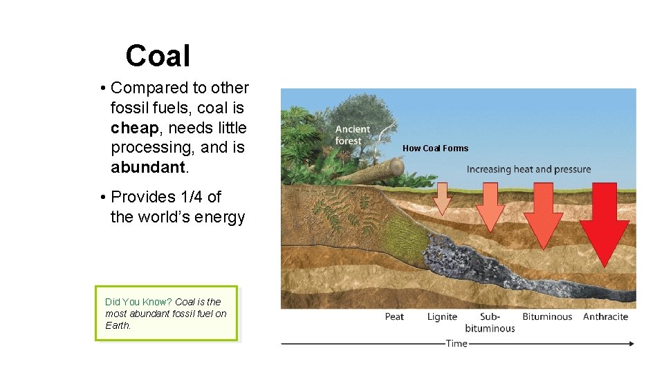 Coal • Compared to other fossil fuels, coal is cheap, needs little processing, and
