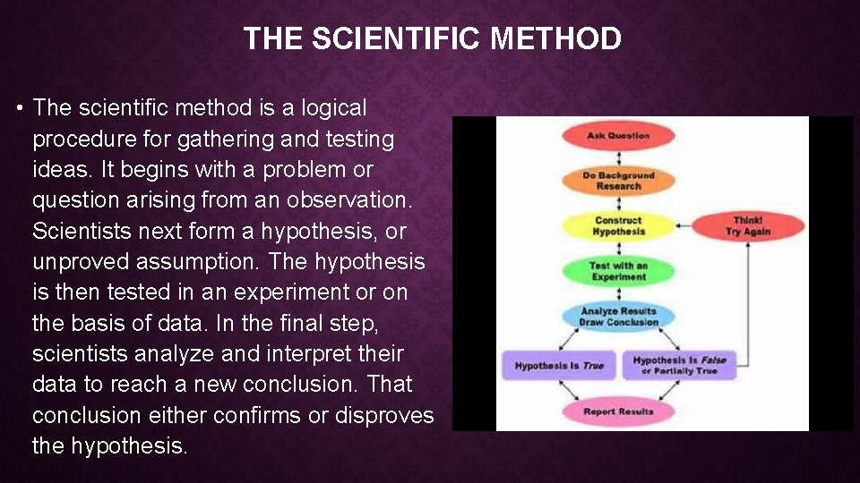 THE SCIENTIFIC METHOD • The scientific method is a logical procedure for gathering and