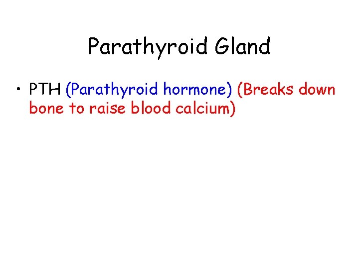 Parathyroid Gland • PTH (Parathyroid hormone) (Breaks down bone to raise blood calcium) 