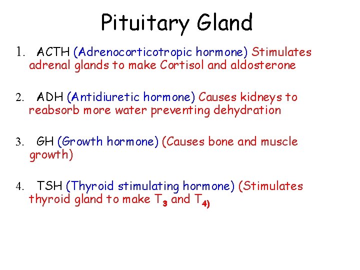 Pituitary Gland 1. ACTH (Adrenocorticotropic hormone) Stimulates adrenal glands to make Cortisol and aldosterone