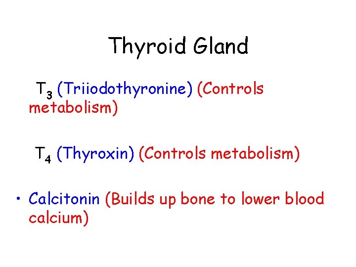 Thyroid Gland T 3 (Triiodothyronine) (Controls metabolism) T 4 (Thyroxin) (Controls metabolism) • Calcitonin