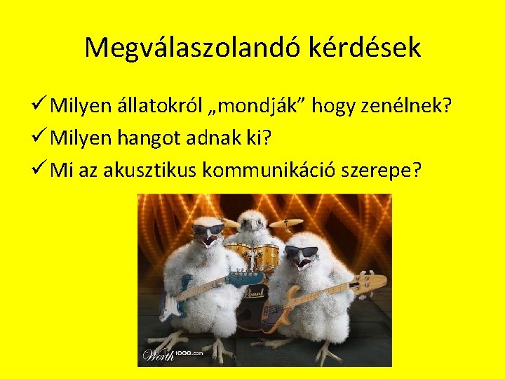 Megválaszolandó kérdések ü Milyen állatokról „mondják” hogy zenélnek? ü Milyen hangot adnak ki? ü Megválaszolandó kérdések ü Milyen állatokról „mondják” hogy zenélnek? ü Milyen hangot adnak ki? ü
